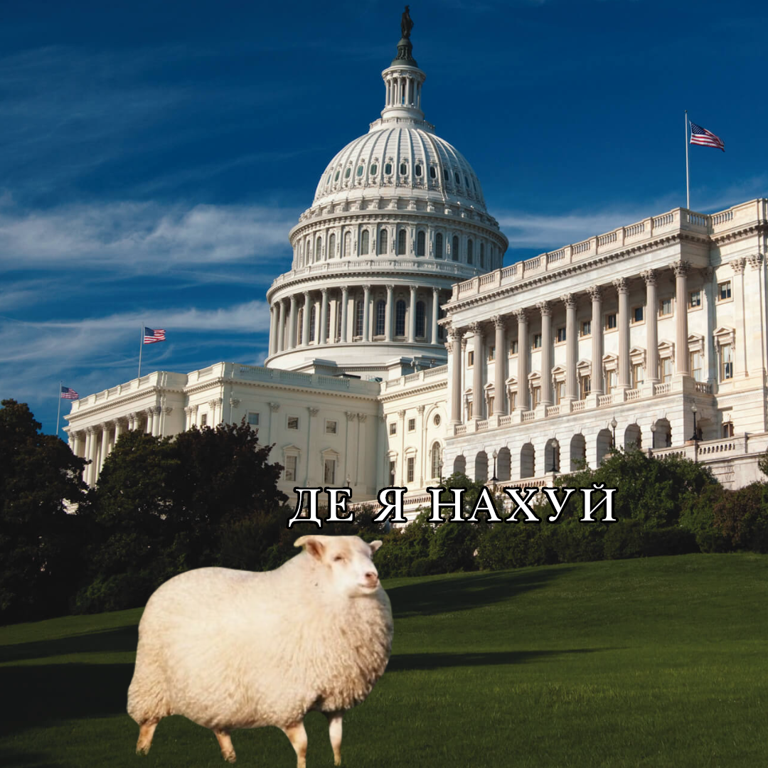 Oversized T-shirt "Lost in Washington"
