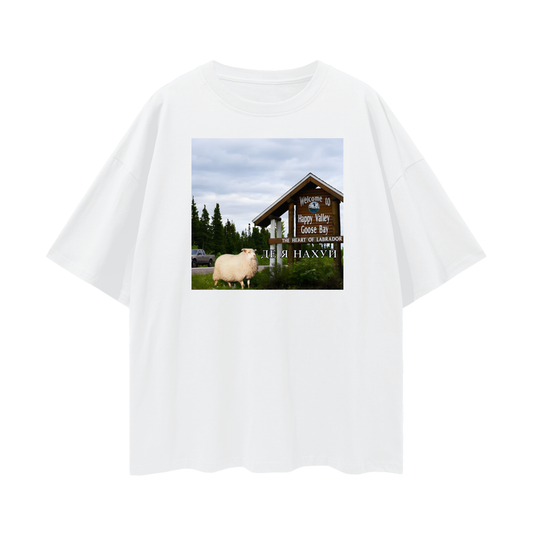 «Lost in Newfoundland»