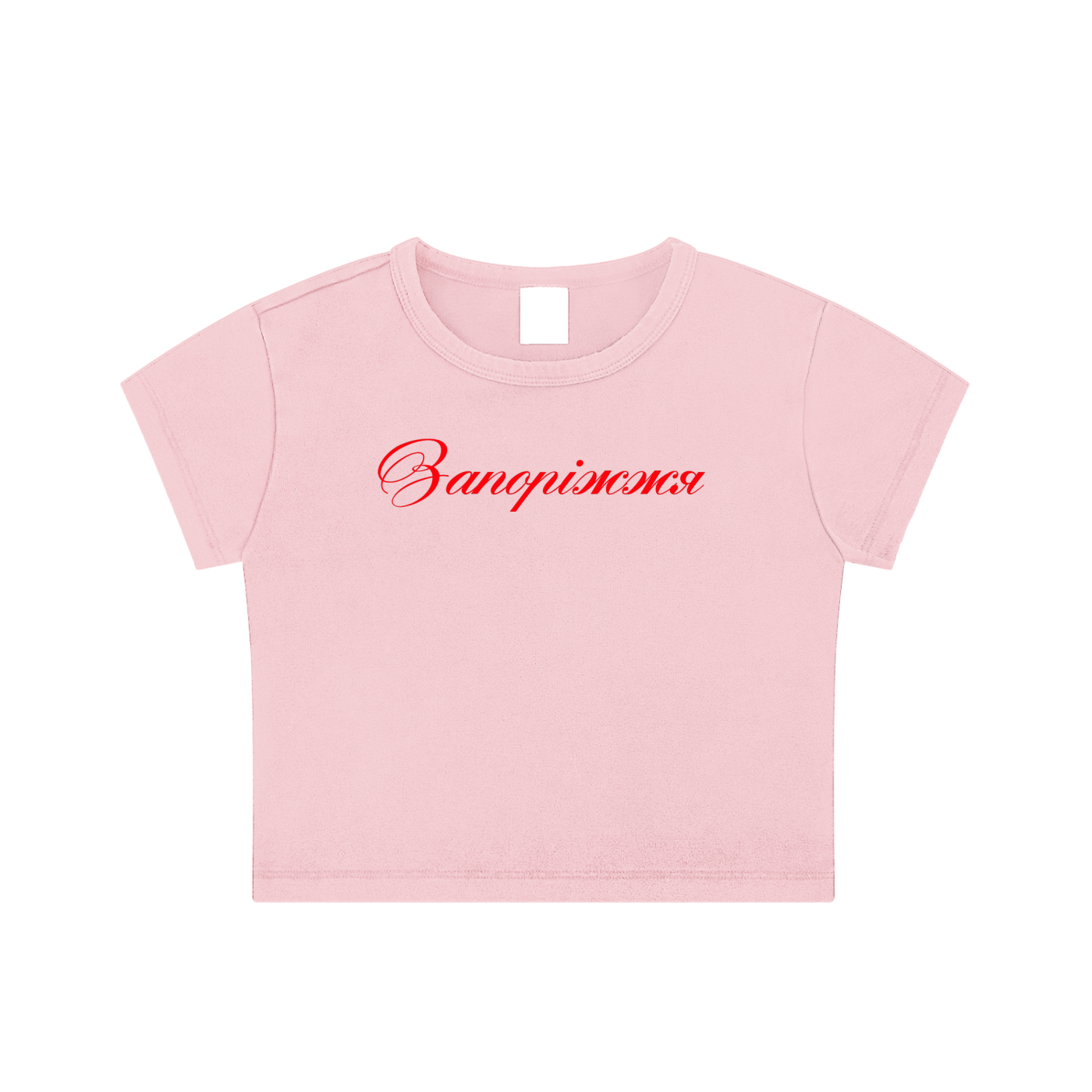"Запоріжжя" Snow Washed Crop Top